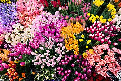 国服《胜利女神：新的希望》首曝PV 预约正式开启